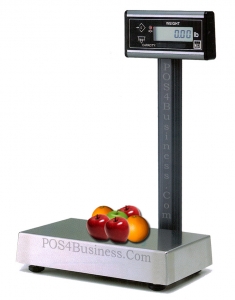 Avery Berkel 6702 - Pole Display